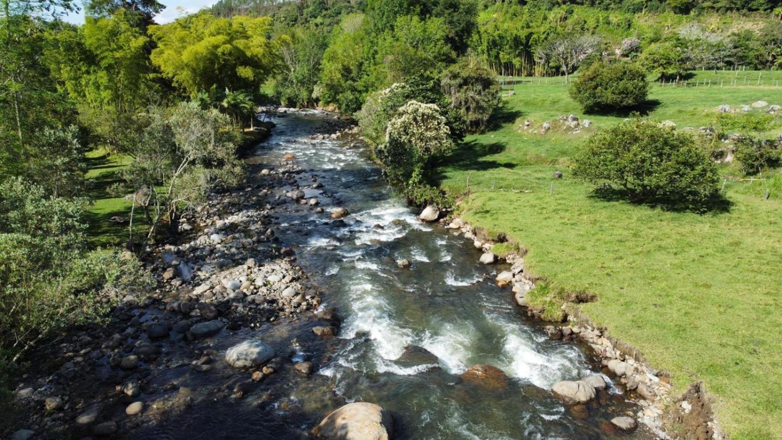 Chez Yannick Hospadaje Los Amigos Salento Dış mekan fotoğraf
